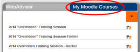 My Moodle Courses Tab of The Hub